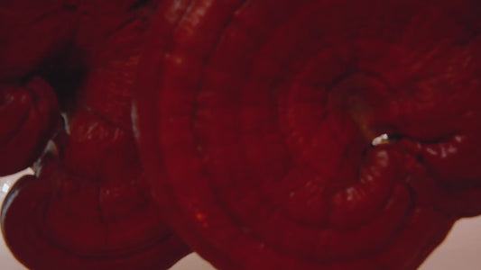 Kasumi Glowing Cream